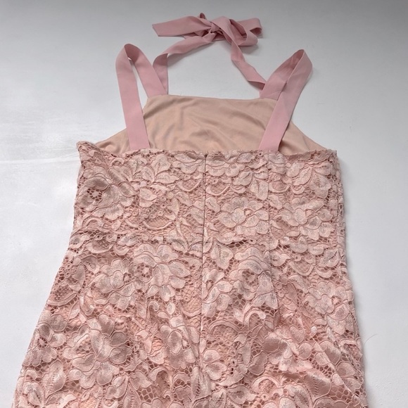 SAM EDELMAN PETAL PINK THICK STRAP LACE DRESS SIZE 10 - Picture 5 of 14